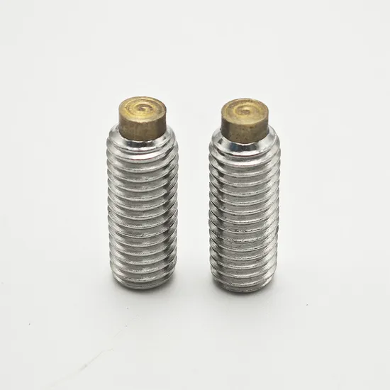 M2 M2.5 M3 M4 M5 M6 M8 Stainless Steel Hex Drive Brass Tip Set Screw